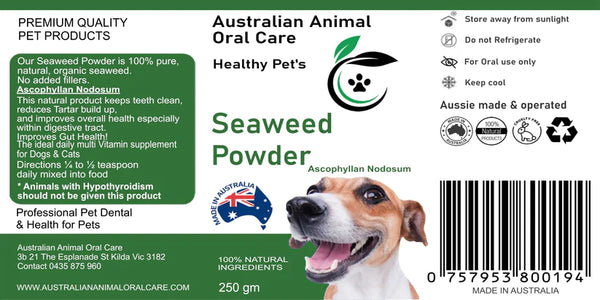 Dental Seaweed Powder - Ascophyllum Nodosum