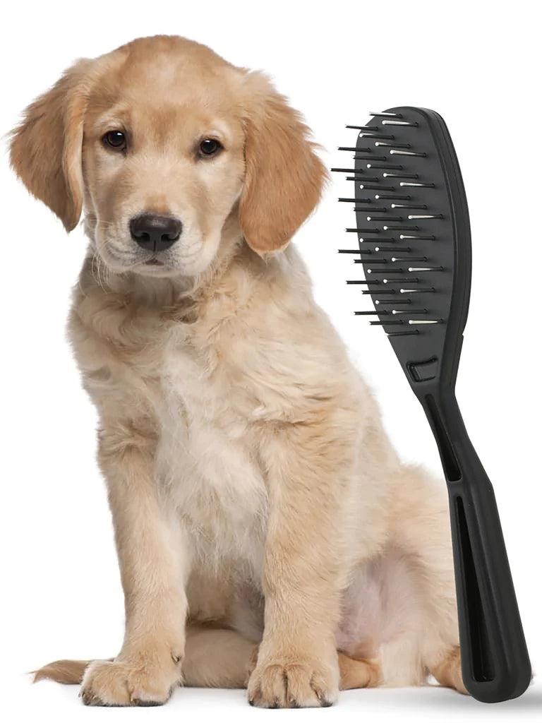 Professional Pet Brush with rotating teeth Spitz Groom