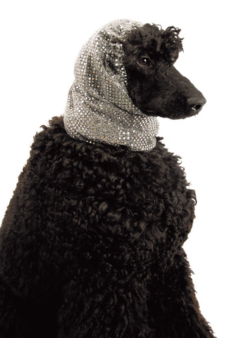 Snood Luxe Fancy Ear Covers For Dogs