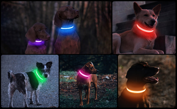 Waudog LED RGB Dog Collar