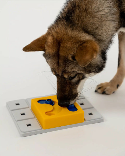 Pawzler Kaya Pawzle