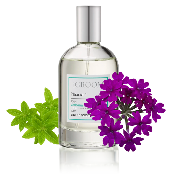 iGroom Pleasia 1 Verbena perfume bottle with green leaves and purple verbena flowers