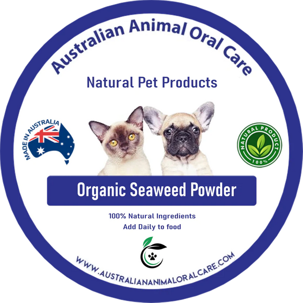 Dental Seaweed Powder - Ascophyllum Nodosum