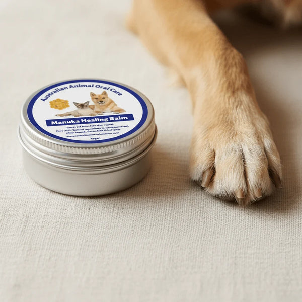 Manuka Healing Balm tin placed beside a dog's paw on a fabric surface