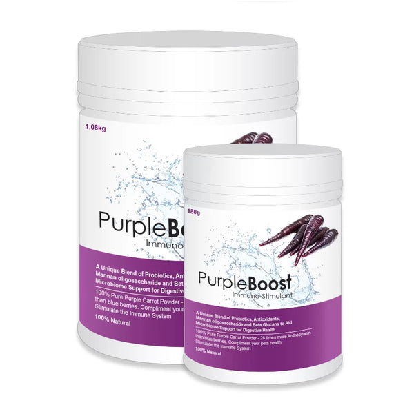Large 1.08kg and small 180g tubs of LifeWise Purple Boost immuno-stimulant supplement with purple carrots pictured