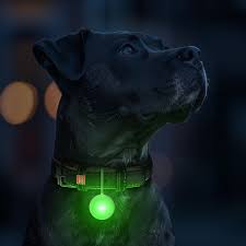 WauDog LED Dog Light