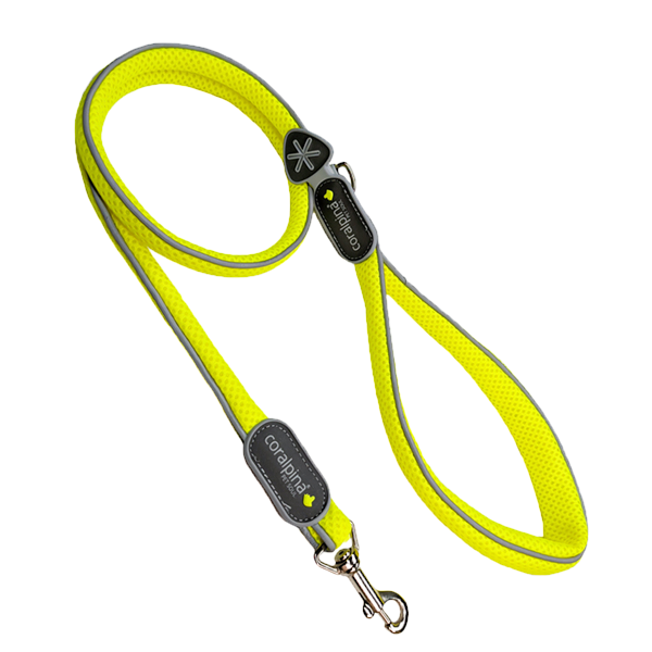 Cinquetorri Coloured Dog Leash