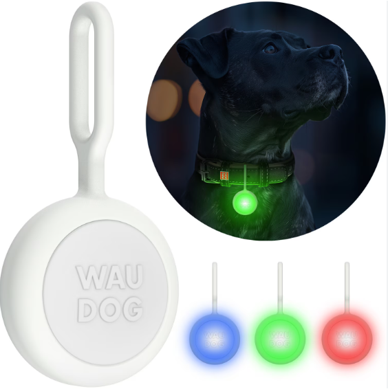 WauDog LED Dog Light