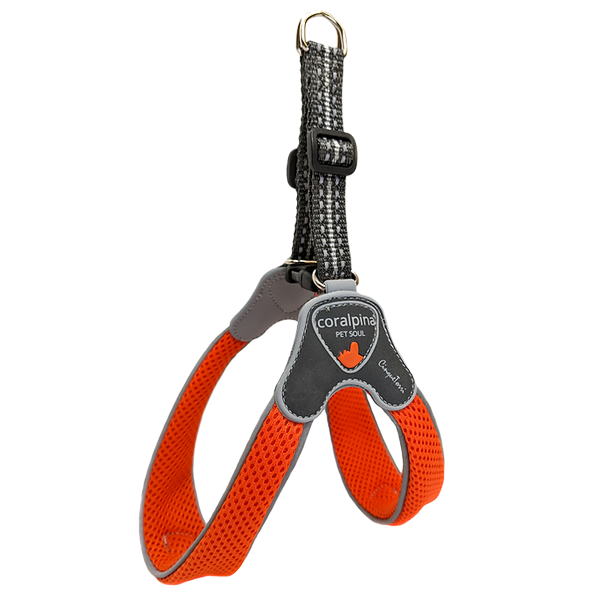 Cinquetorri Coloured Dog Harness (Classic)