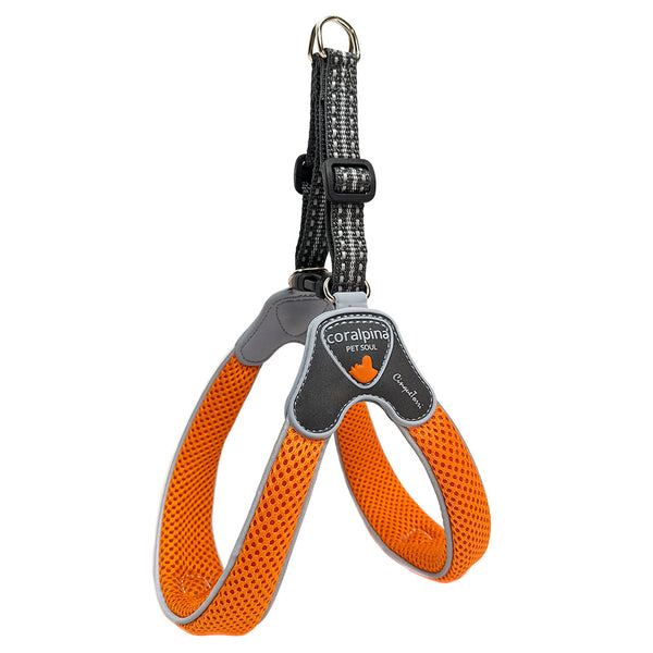 Cinquetorri Coloured Dog Harness (Classic)