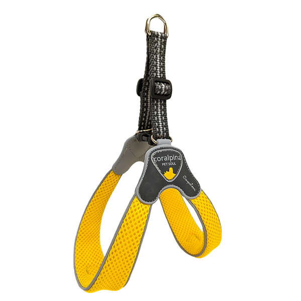 Cinquetorri Coloured Dog Harness (Classic)
