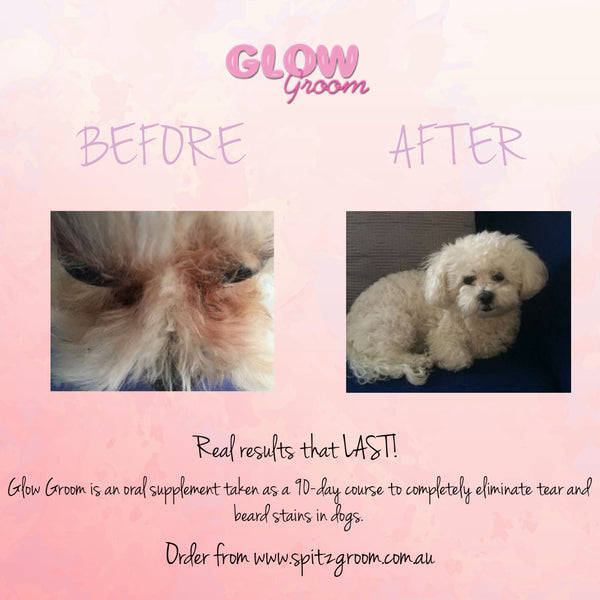 Glow Groom Tear Stain Remover