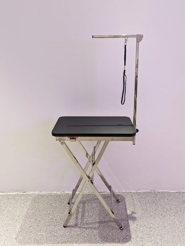 Portable Grooming Table