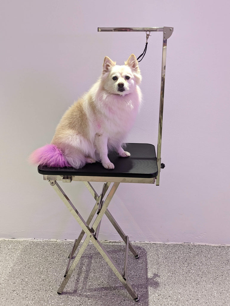 Portable Grooming Table – Spitz Groom