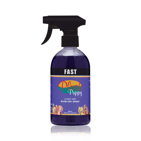 FAST Blow Dry Spray